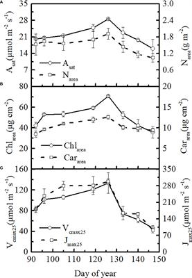 Leaf photosynthetic pigment as a predictor of leaf maximum carboxylation rate in a farmland ecosystem